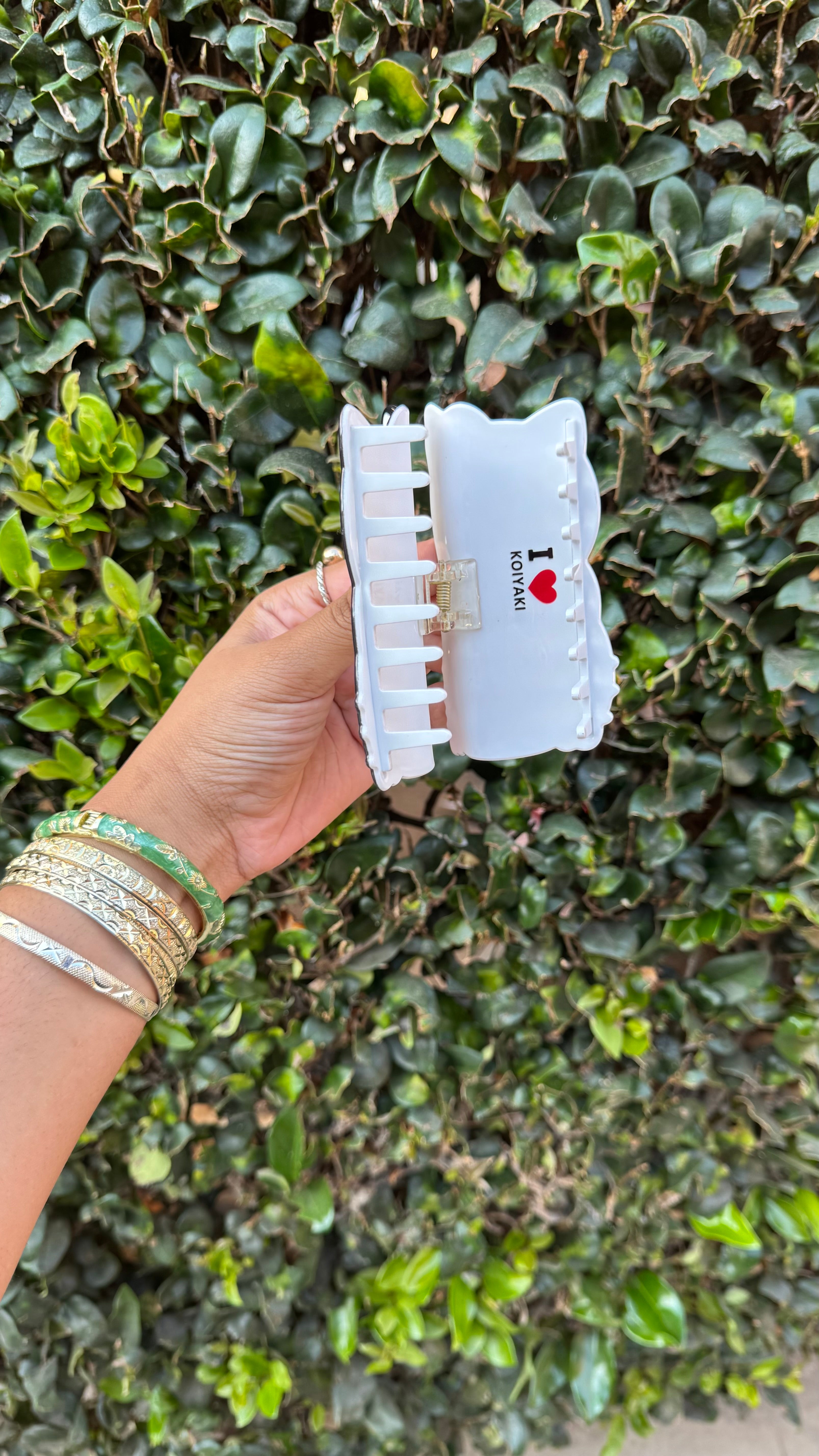 Character Hair Clips
