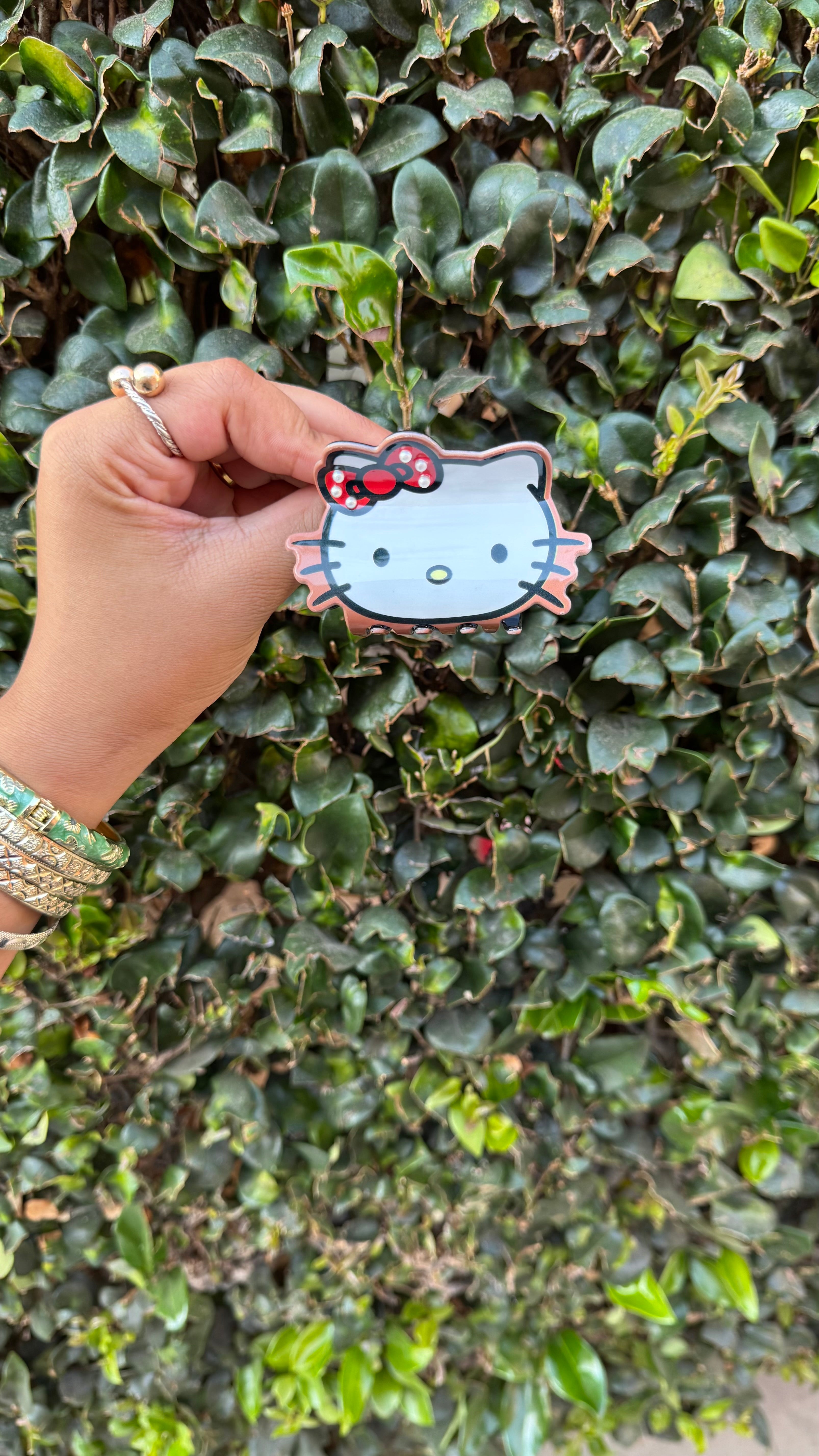 Character Hair Clips